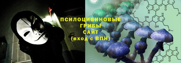 трава Богородицк