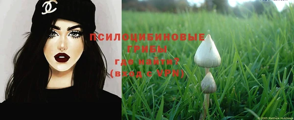 трава Богородицк