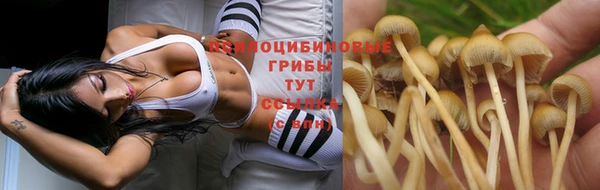 синтетический гашиш Богородск