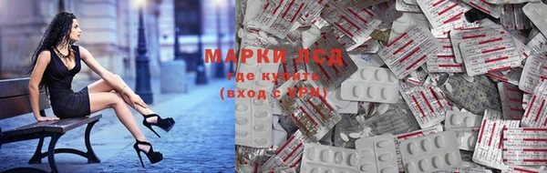 ПСИЛОЦИБИНОВЫЕ ГРИБЫ Белоозёрский
