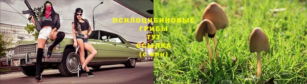 соль курить ск Белокуриха