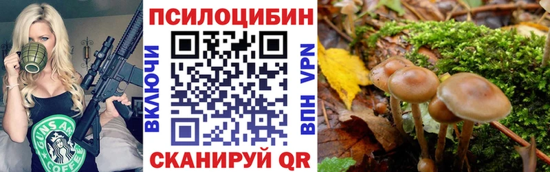 Псилоцибиновые грибы мицелий  Купить закладки  Кашира 
